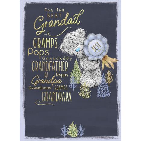 Grandad Names Me to You Bear Father