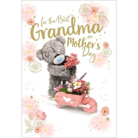 Grandma Photo Finish Me to You Bear Mother