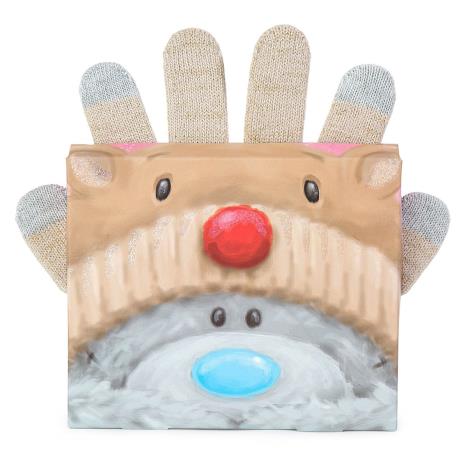 Reindeer Me to You Bear Boxed Gloves  £4.19