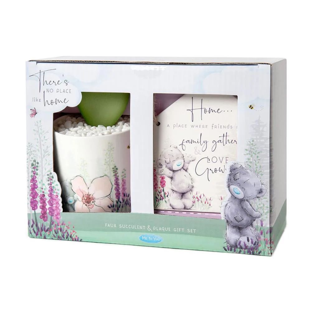 No Place Like Home Faux Succulent &amp; Plaque Me to You Bear Gift