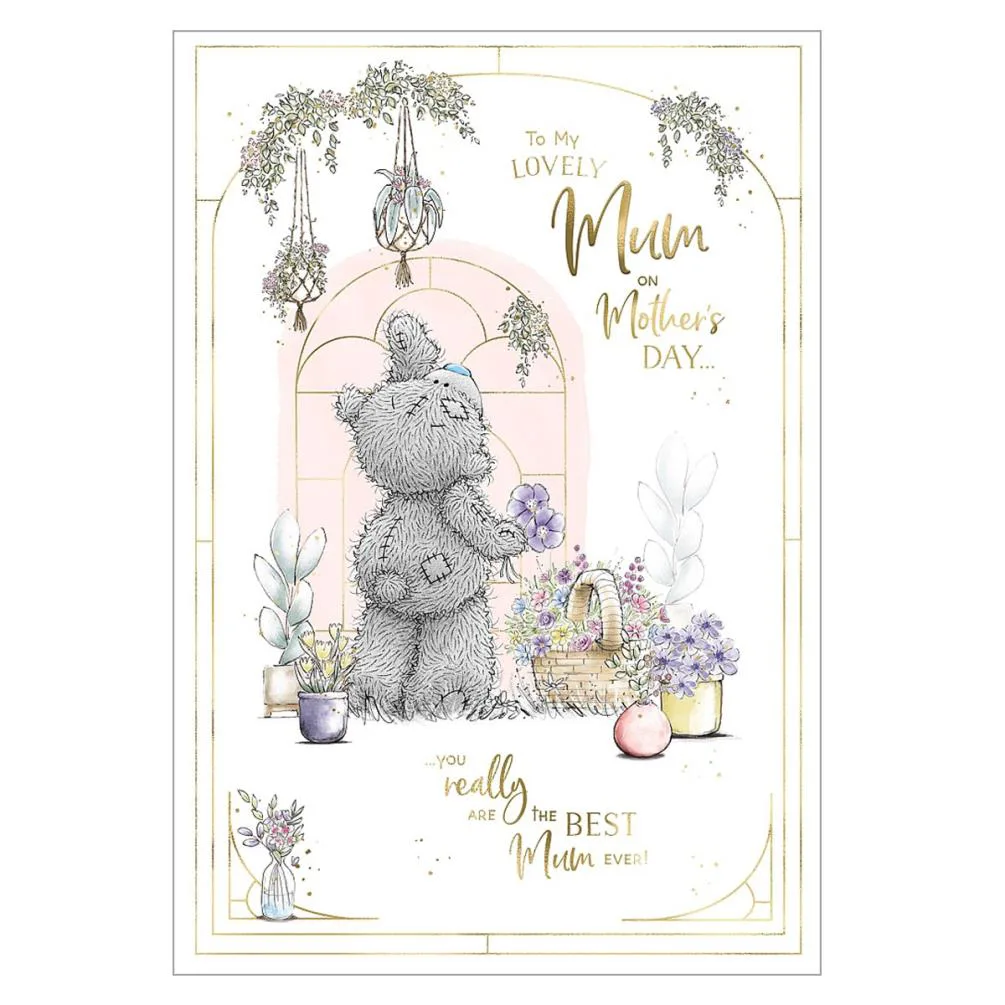 Mum Hanging Plants Me to You Bear Mother