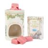 Wax Melt Warmer & Wax Melts Me to You Bear Gift Set