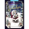 3D Holographic Special Grandson Me to You Bear Christmas Card