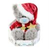 9" Dressed as Santa Me to You Bear